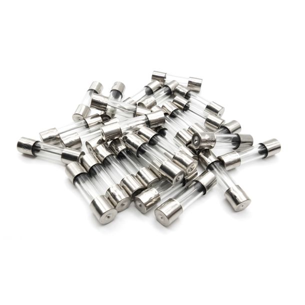 2 Amp Glass Cartage Fuse